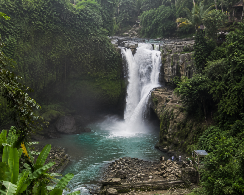 Waterfall surrounded by lush tropical greenery
